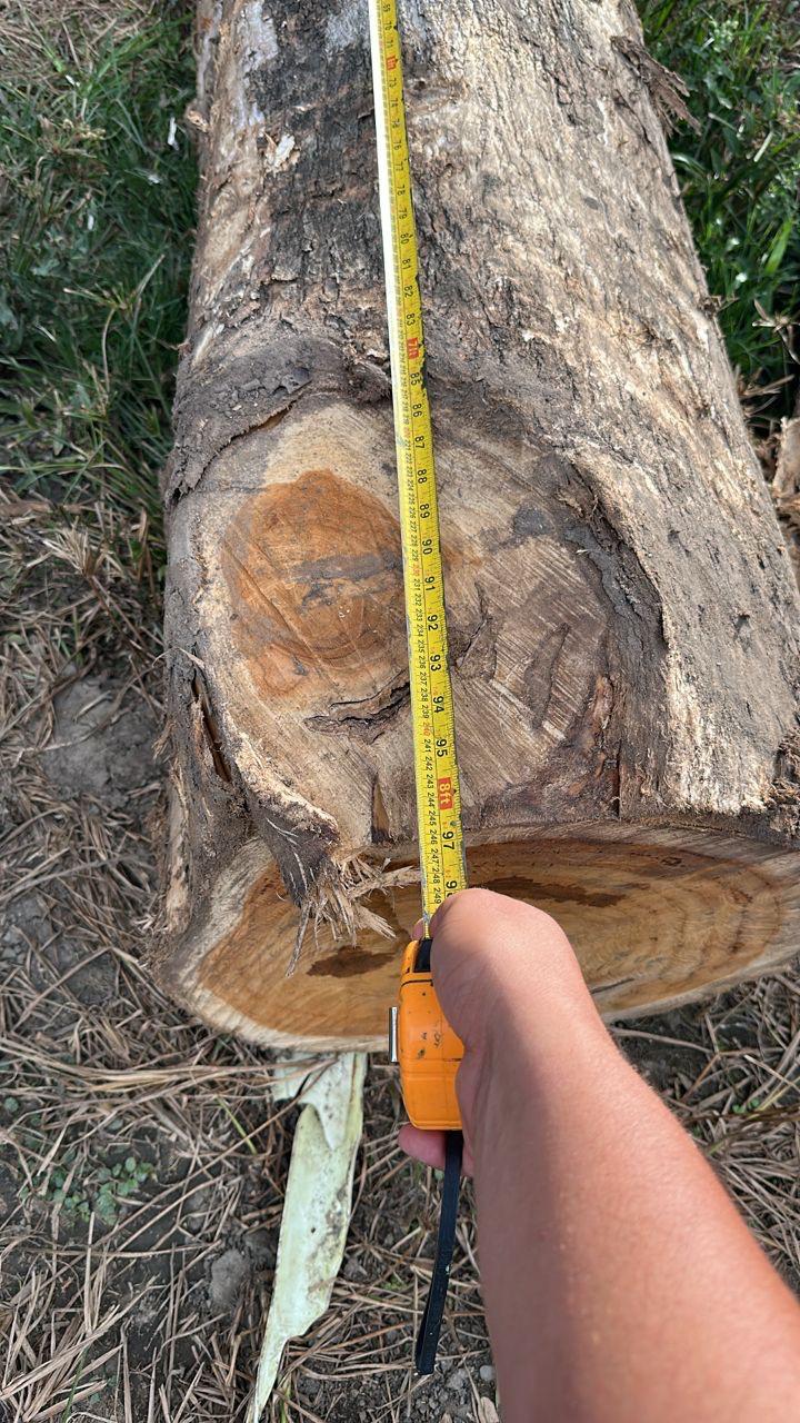 Deska Pokładowa Deack Marine 19x72 mm, 2 strony czyste - obrazek 2