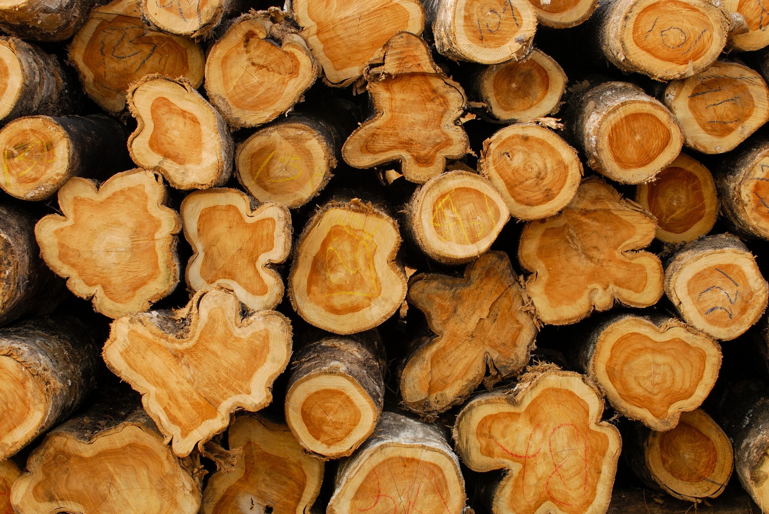 Teak Lumber S4S 20 mm, 1 clear face